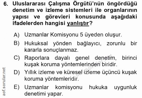 6. soru: Uluslararası Çalışma Örgütü'nün öngördüğü denetim ve izleme sistemleri ile organlarının yapısı ve görevleri konusunda…