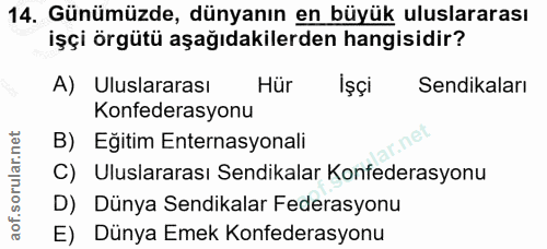 14. soru: Günümüzde, dünyanın en büyük uluslararası işçi örgütü aşağıdakilerden hangisidir? A) Uluslararası Hür Işçi Sendikalar…