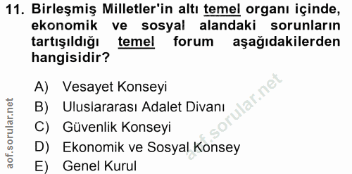 11. soru: Birleşmiş Milletler'in altı temel organı içinde, ekonomik ve sosyal alandaki sorunların tartışıldığı temel forum aşağ…