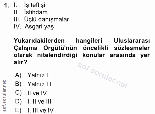 1. soru: I. Iş teftişi Il. Istihdam IlI. Üçlü danışmalar IV. Asgari yaş Yukarıdakilerden hangileri Uluslararası Çalışma Örgütü…