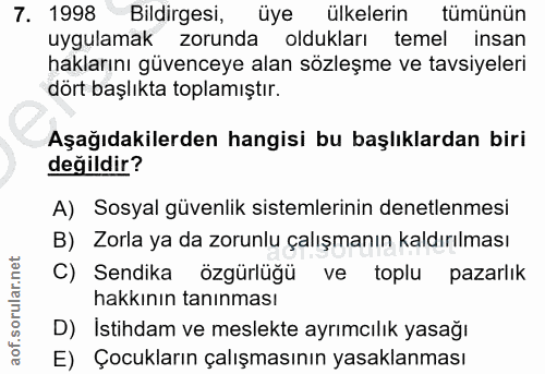 7. soru: 1998 Bildirgesi, üye ülkelerin tümünün uygulamak zorunda oldukları temel insan haklarını güvenceye alan sözleşme ve t…