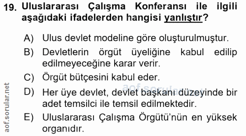 19. soru: Uluslararası Çalışma Konferansı ile ilgili aşağıdaki ifadelerden hangisi yanlıştır? A) Ulus devlet modeline göre oluş…