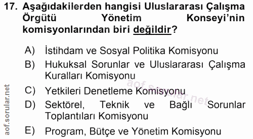 17. soru: Aşağıdakilerden hangisi Uluslararası Çalışma Örgütü Yönetim Konseyi'nin komisyonlarından biri değildir? A) İstihdam v…