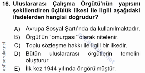 16. soru: Uluslararası Çalışma Örgütü'nün yapısını şekillendiren üçlülük ilkesi ile ilgili aşağıdaki ifadelerden hangisi doğrud…