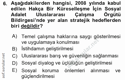 6. soru: Aşağıdakilerden hangisi, 2008 yılında kabul edilen Hakça Bir Küreselleşme İçin Sosyal Adalet Uluslararası Çalışma Örg…