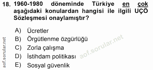 18. soru: 1960-1980 döneminde Türkiye en çok aşağıdaki konulardan hangisi ile ilgili UÇÖ Sözleşmesi onaylamıştır? A) Ücretler B…