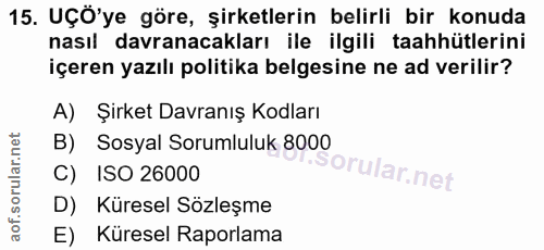 15. soru: UÇÖ'ye göre, şirketlerin belirli bir konuda nasıl davranacakları ile ilgili taahhütlerini içeren yazılı politika belg…