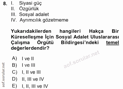 8. soru: Siyasi güç II. Ozgürlük II. Sosyal adalet IV. Ayrımcılık gözetmeme Yukarıdakilerden hangileri Hakça Bir Küreselleşme…