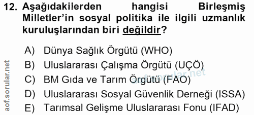 12. soru: Aşağıdakilerden hangisi Birleşmiş Milletler'in sosyal politika ile ilgili uzmanlık kuruluşlarından biri değildir? A)…