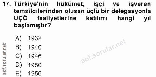 17. soru: Türkiye'nin hükümet, işçi ve işveren temsilcilerinden oluşan üçlü bir delegasyonla uçÖ faaliyetlerine katılımı hangiy…