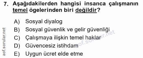 7. soru: Aşağıdakilerden hangisi insanca çalışmanın temel ögelerinden biri değildir? A) Sosyal diyalog B) Sosyal güvenlik ve g…