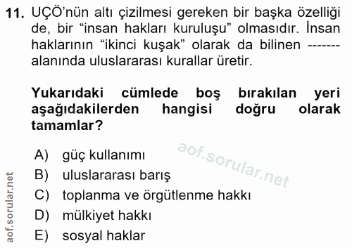11. soru: UÇÖ'nün altı çizilmesi gereken bir başka özelliği de, bir "insan hakları kuruluşu" olmasıdır. İnsan haklarının "ikinc…