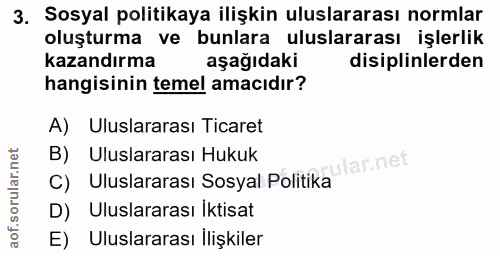 3. soru: Sosyal politikaya ilişkin uluslararası normlar oluşturma ve bunlara uluslararası işlerlik kazandırma aşağıdaki disipl…