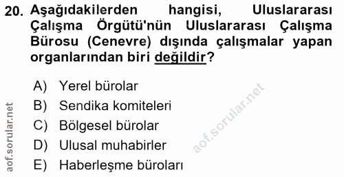 20. soru: Aşağıdakilerden hangisi, Uluslararası Çalışma Örgütü'nün Uluslararası Çalışma Bürosu (Cenevre) dışında çalışmalar yap…