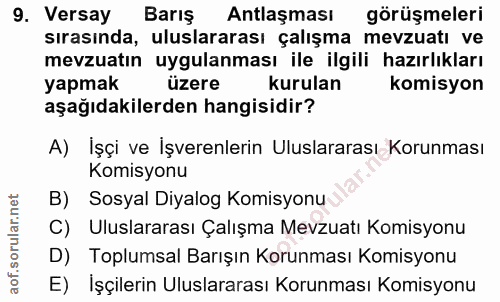 9. soru: Versay Barış Antlaşması görüşmeleri sırasında, uluslararası çalışma mevzuatı ve mevzuatın uygulanması ile ilgili hazı…