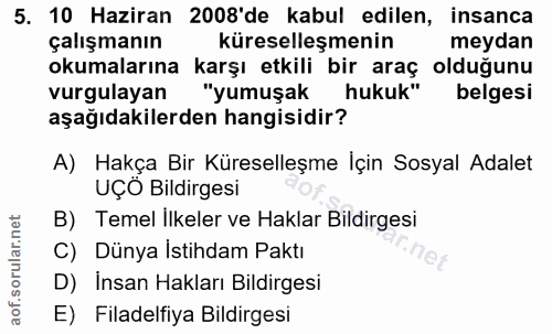 5. soru: 10 Haziran 2008'de kabul edilen, insanca çalışmanın küreselleşmenin meydan okumalarına karşı etkili bir araç olduğunu…