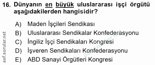 16. soru: Dünyanın en büyük uluslararası işçi örgütü aşağıdakilerden hangisidir? A) Maden İşçileri Sendikası B) Uluslararası Se…