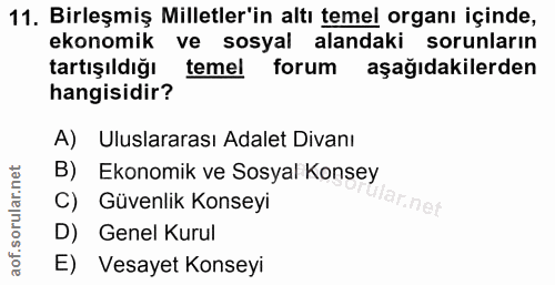 11. soru: Birleşmiş Milletler'in altı temel organı içinde, ekonomik ve sosyal alandaki sorunların tartışıldığı temel forum aşağ…