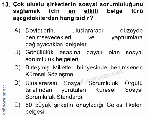 13. soru: Çok uluslu şirketlerin sosyal sorumluluğunu sağlamak için en etkili belge türü aşağıdakilerden hangisidir? A) Devletl…