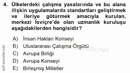 4. soru: Ülkelerdeki çalışma yasalarında ve bu alana ilişkin uygulamalarda standartları geliştirmek ve ileriye götürmek amacıy…