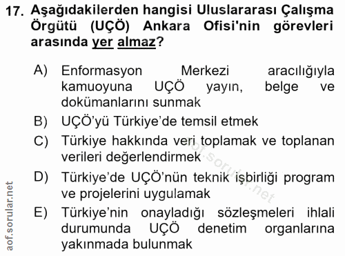 17. soru: Aşağıdakilerden hangisi Uluslararası Çalışma Örgütü (UÇÖ) Ankara Ofisi'nin görevleri arasında yer almaz? A) Enformasy…
