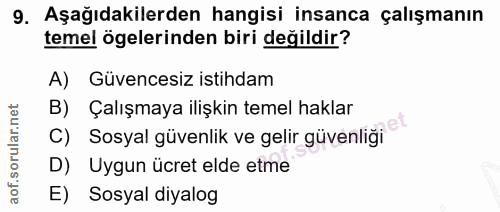 9. soru: Aşağıdakilerden hangisi insanca çalışmanın temel ögelerinden biri değildir? A) Güvencesiz istihdam B) Çalışmaya ilişk…