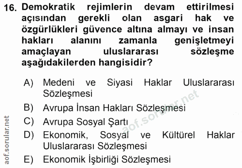16. soru: Demokratik rejimlerin devam ettirilmesi açısından gerekli olan asgari hak ve özgürlükleri güvence altına almayı ve in…