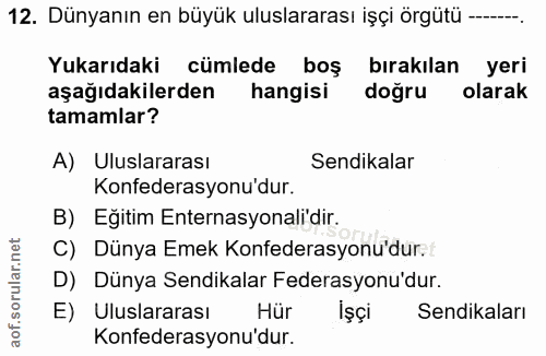 12. soru: Dünyanın en büyük uluslararası işçi örgütü —-- Yukarıdaki cümlede boş bırakılan yeri aşağıdakilerden hangisi dogru ol…