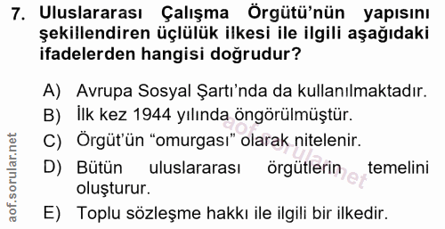 7. soru: Uluslararası Çalışma Örgütü'nün yapısını şekillendiren üçlülük ilkesi ile ilgili aşağıdaki ifadelerden hangisi doğrud…