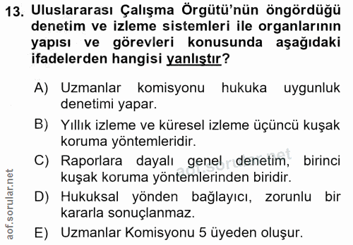 13. soru: Uluslararası Çalışma Örgütü'nün öngördüğü denetim ve izleme sistemleri ile organlarının yapısı ve görevleri konusunda…