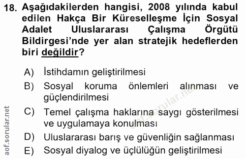 18. soru: Aşağıdakilerden hangisi, 2008 yılında kabul edilen Hakça Bir Küreselleşme İçin Sosyal Adalet Uluslararası Çalışma Örg…