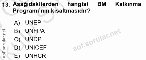 13. soru: Aşağıdakilerden hangisi BM Kalkınma Programı'nın kısaltmasıdır? A) UNEP B) UNFPA C) UNDP D) UNICEF E) UNHCR
