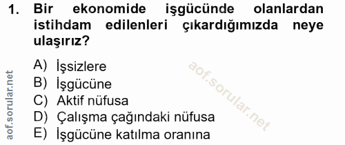 1. soru: Bir ekonomide işgücünde olanlardan istihdam edilenleri çıkardığımızda neye ulaşırız? A) İşsizlere B) İşgücüne C) Akti…
