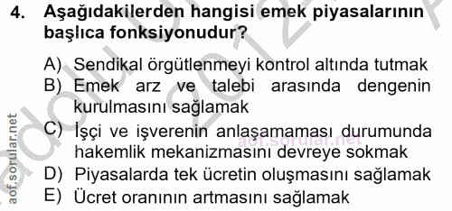 4. soru: Aşağıdakilerden hangisi emek piyasalarının başlıca fonksiyonudur? A) Sendikal örgütlenmeyi kontrol altında tutmak B)…