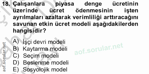 18. soru: Çalışanlara piyasa denge ücretinin üzerinde ücret ödenmesinin işten ayrılmaları azaltarak verimliliği arttıracağını s…