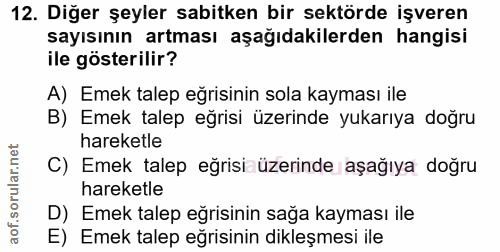 12. soru: Diğer şeyler sabitken bir sektörde işveren sayısının artması aşağıdakilerden hangisi ile gösterilir? A) Emek talep eğ…