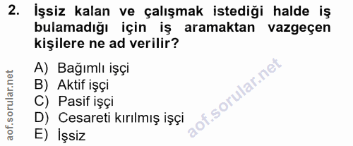 2. soru: İşsiz kalan ve çalışmak istediği halde iş bulamadığı için iş aramaktan vazgeçen kişilere ne ad verilir? A) Bağımlı iş…