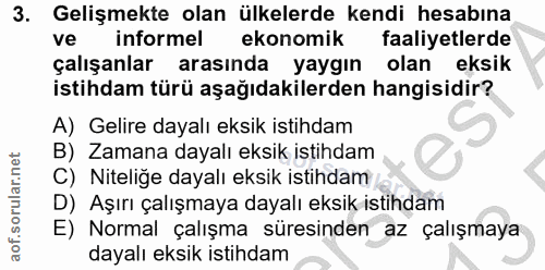 3. soru: Gelişmekte olan ülkelerde kendi hesabına ve informel ekonomik faaliyetlerde çalışanlar arasında yaygın olan eksik ist…