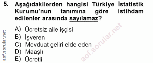 5. soru: Aşağıdakilerden hangisi Türkiye İstatistik Kurumu'nun tanımina göre istihdam edilenler arasında sayılamaz? A) Ücretsi…