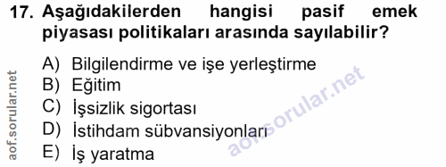 17. soru: Aşağıdakilerden hangisi pasif emek piyasası politikaları arasında sayılabilir? A) Bilgilendirme ve işe yerleştirme B)…