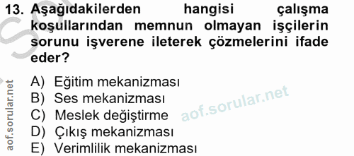 13. soru: Aşağıdakilerden hangisi çalışma koşullarından memnun olmayan işçilerin sorunu işverene ileterek çözmelerini ifade ede…
