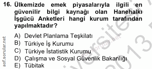 16. soru: Ulkemizde emek piyasalarıyla ilgili en güvenilir bilgi kaynağı olan Hanehalkı İşgücü Anketleri hangi kurum tarafından…