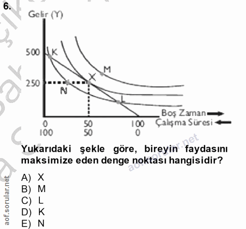 6. soru: Gelir (Y) 500 250 Boş Zaman → 0 50 100 Çalışma Süresi e 100 50 0 Yukarıdaki şekle göre, bireyin faydasını maksimize e…