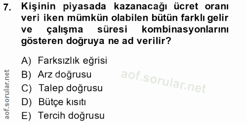 7. soru: Kişinin piyasada kazanacağı ücret oranı veri iken mümkün olabilen bütün farklı gelir çalışma süresi kombinasyonlarını…