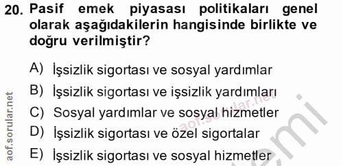 20. soru: Pasif emek piyasası politikaları genel olarak aşağıdakilerin hangisinde birlikte ve doğru verilmiştir? A) İşsizlik si…