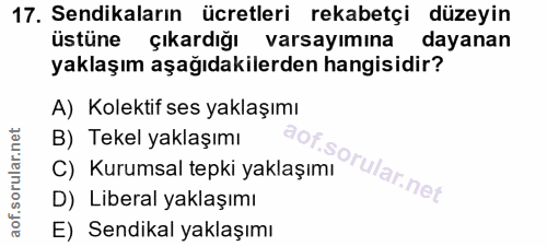 17. soru: Sendikaların ücretleri rekabetçi düzeyin üstüne çıkardığı varsayımına dayanan yaklaşım aşağıdakilerden hangisidir? A)…