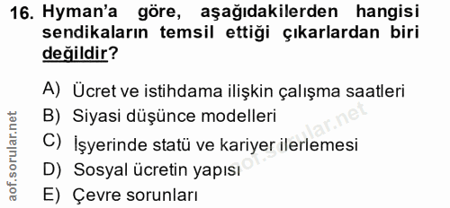 16. soru: Hyman'a göre, aşağıdakilerden hangisi sendikaların temsil ettiği çıkarlardan biri değildir? A) Ücret ve istihdama ili…