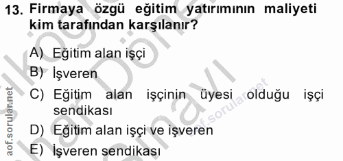 13. soru: Firmaya özgü eğitim yatırımının maliyeti kim tarafından karşılanır? A) Eğitim alan işçi B) İşveren C) Eğitim alan işç…