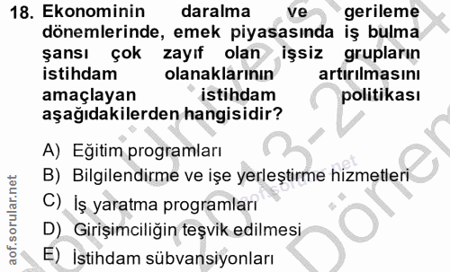 18. soru: Ekonominin daralma ve gerileme dönemlerinde, emek piyasasında iş bulma şansı çok zayıf olan işsiz grupların istihdam…