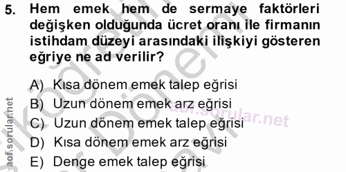 5. soru: Hem emek hem de sermaye faktörleri degişken olduğunda ücret oranı ile firmanın istihdam düzeyi arasındaki ilişkiyi gö…